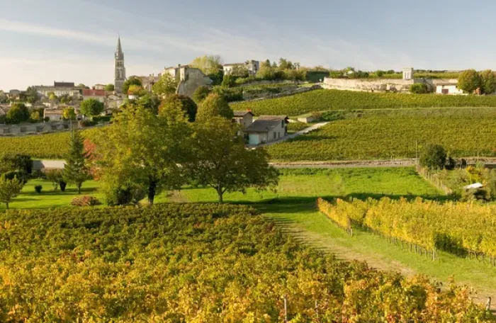 Framed Print : Vineyards in autumn, St Emilion, Gironde, le Bordelais, France Framed Print : Vineyards in autumn, St Emilion, Gironde, le Bordelais, France