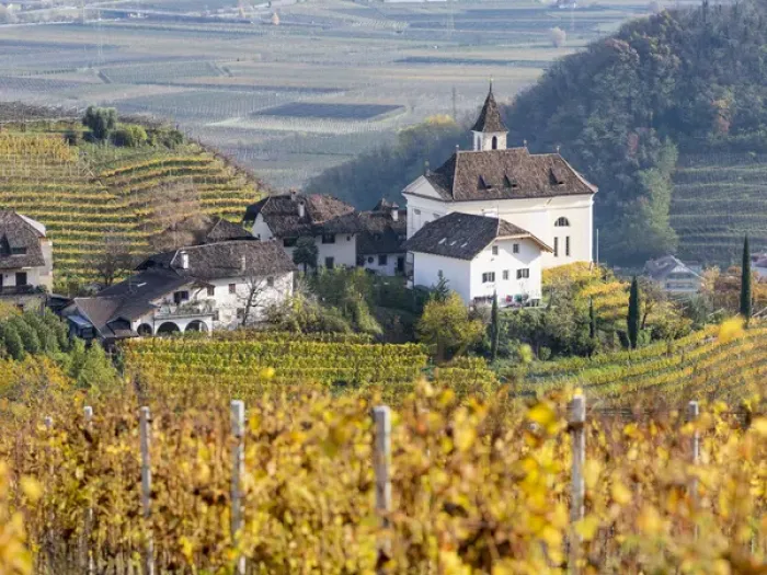 Framed Print : Vineyards and church of Missian (Missiano) close to Eppan (Appiano) in the Ueberetsch Framed Print : Vineyards and church of Missian (Missiano) close to Eppan (Appiano) in the Ueberetsch