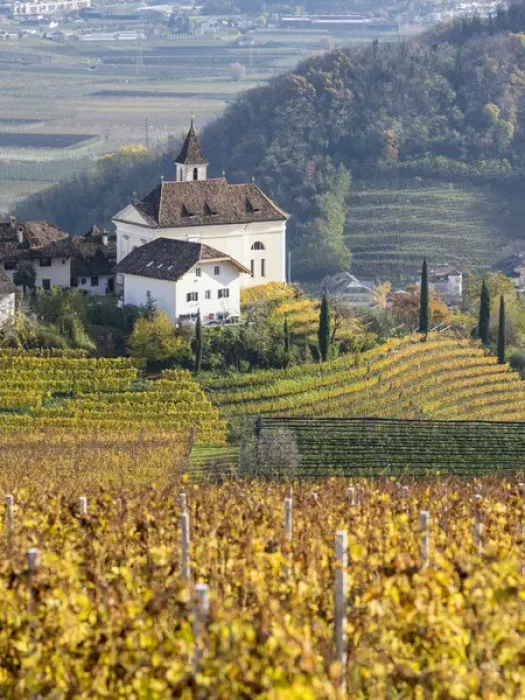 Framed Print : Vineyards and church of Missian (Missiano) close to Eppan (Appiano) in the Ueberetsch