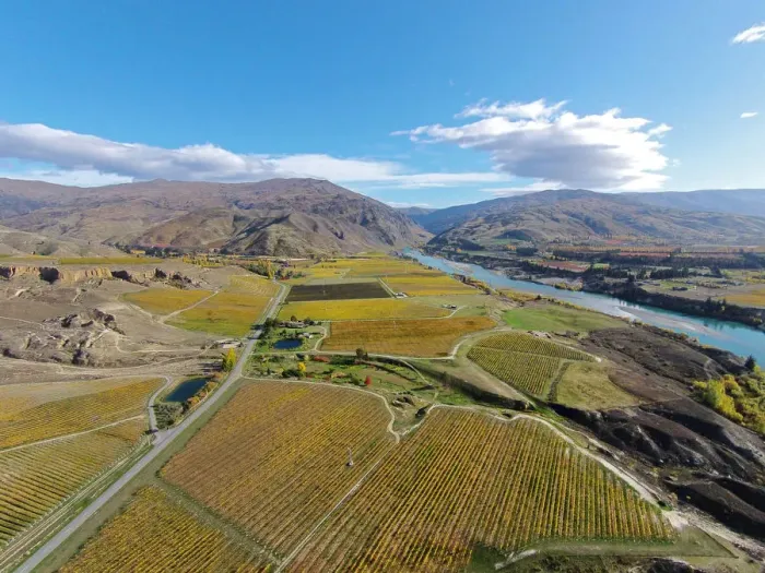 Framed Print : Vineyards, Felton Road, Bannockburn, and Kawarau Arm, Lake Dunstan, near Cromwell