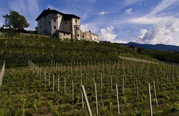 Vineyards and homes in small village vineyard near Bressanone Italy in the Italian Alps