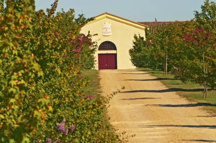 Framed Print : Vineyards, petit verdot vines and the winery in the distance - Chateau de la Tour