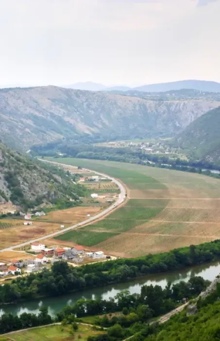 Framed Print : Vineyards planted on the plain along the river Neretva, in the Mostar Citluk region