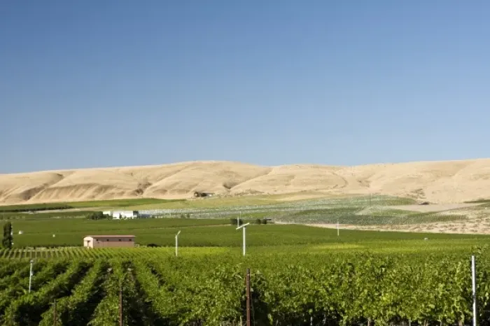 Framed Print : Vineyards of Tri-Cities area in the Columbia Valley, Eastern Washington