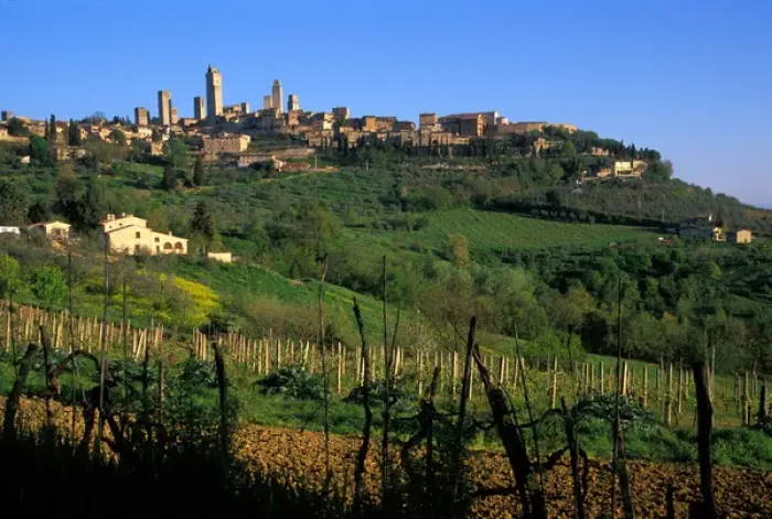Framed Print : The vineyards of the Tuscan countryside, near San Gimignono Italy Framed Print : The vineyards of the Tuscan countryside, near San Gimignono Italy