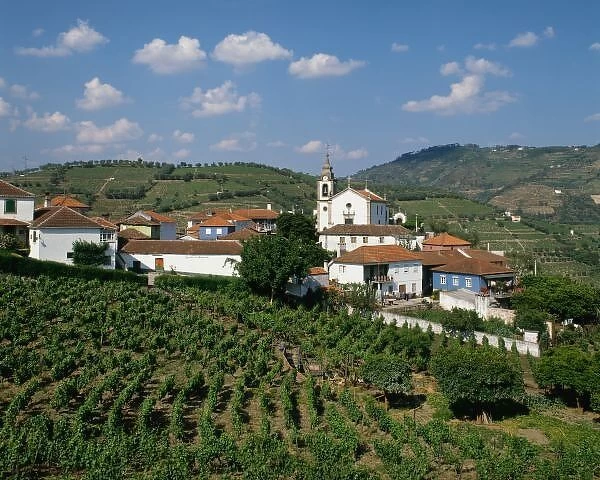 Vineyards, Village of San Miguel, Douro Valley, Costa Verde, Portugal
