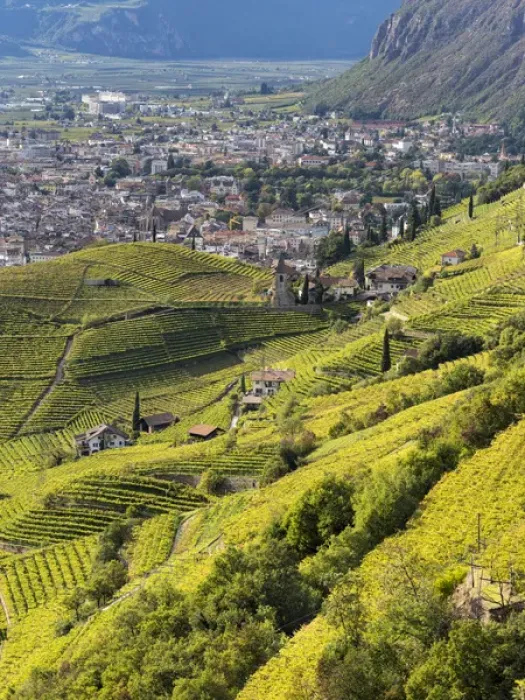 Framed Print : Viniculture around Bozen (Bolzano) the capital of South Tyrol during autumn. Europe Framed Print : Viniculture around Bozen (Bolzano) the capital of South Tyrol during autumn. Europe