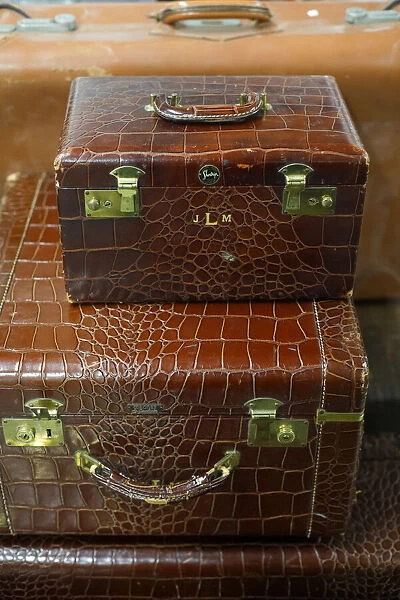 Vintage alligator skin luggage