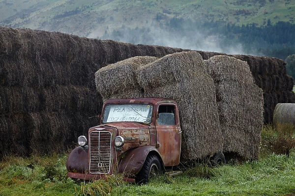 Vintage Commer truck with hay bales, Hawea Flat, near Wanaka, Otago, South Island