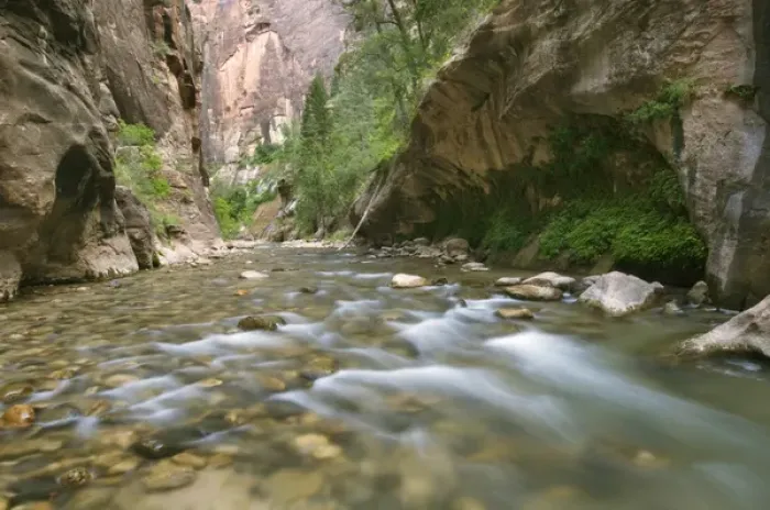 Framed Print : Virgin River reflecting the walls of the Narrows, Zion National Park, Utah, USA Framed Print : Virgin River reflecting the walls of the Narrows, Zion National Park, Utah, USA
