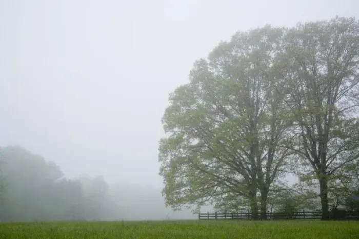 Framed Print : Virginia, United States