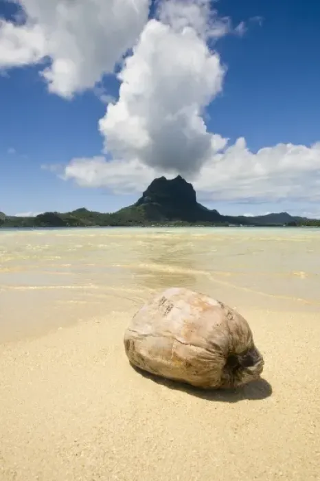 Framed Print : Visit to small picnic island in lagoon at Bora Bora, View of Mt. Otemanu Framed Print : Visit to small picnic island in lagoon at Bora Bora, View of Mt. Otemanu