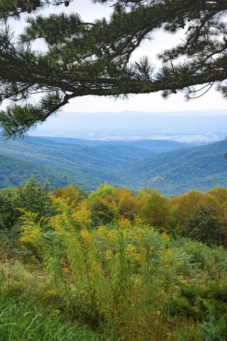Framed Print : Vista, Shenandoah, Blue Ridge Parkway, Smoky Mountains, USA