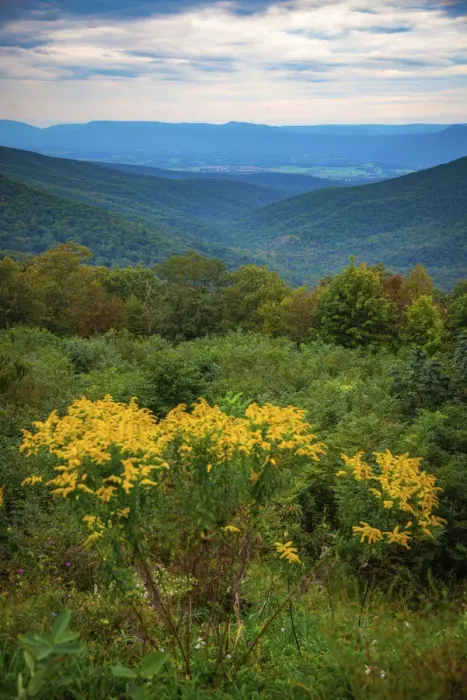 Framed Print : Vista, Shenandoah, Blue Ridge Parkway, Smoky Mountains, USA Framed Print : Vista, Shenandoah, Blue Ridge Parkway, Smoky Mountains, USA
