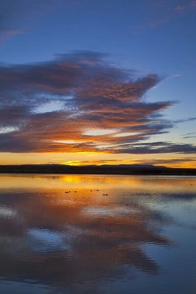 Vivid sunrise over still pond at Bosque del Apache NWR in New Mexico
