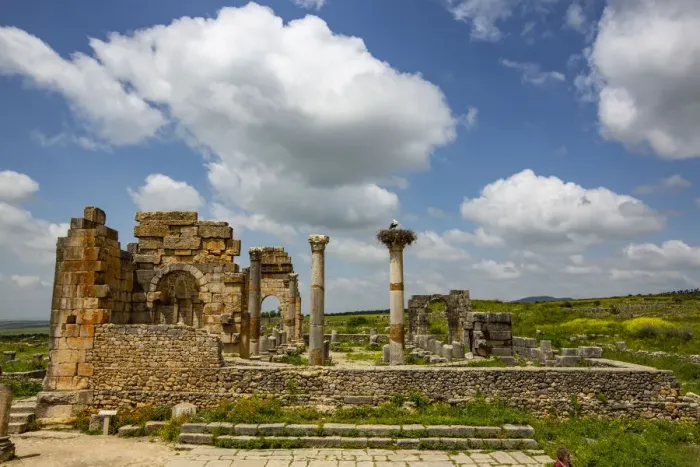 Framed Print : Volubilis, Morocco. Ancient Roman basilica ruins and a Marabou Stork Framed Print : Volubilis, Morocco. Ancient Roman basilica ruins and a Marabou Stork