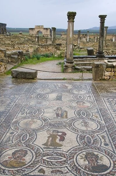 Volubilis Morocco mosaic floor and building ruins from the Roman period
