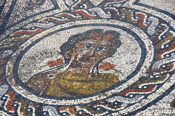 in Volubilis Morocco mosaic portrait in a circular design done during the Roman period