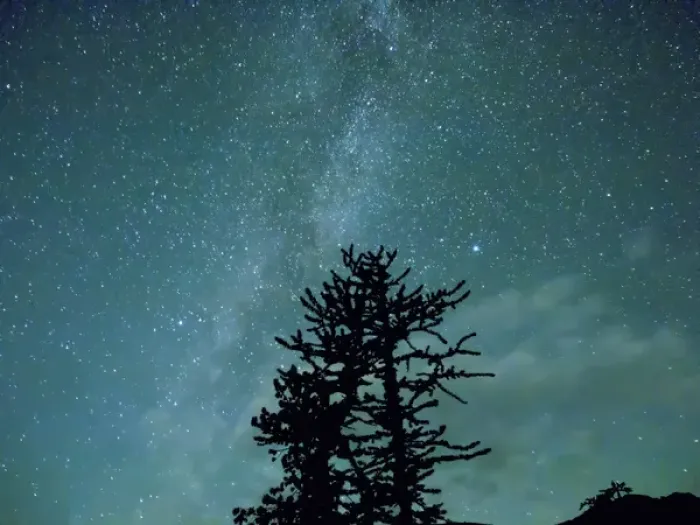 Framed Print : WA, Alpine Lakes Wilderness, Ingalls Pass, Milky Way and trees Framed Print : WA, Alpine Lakes Wilderness, Ingalls Pass, Milky Way and trees