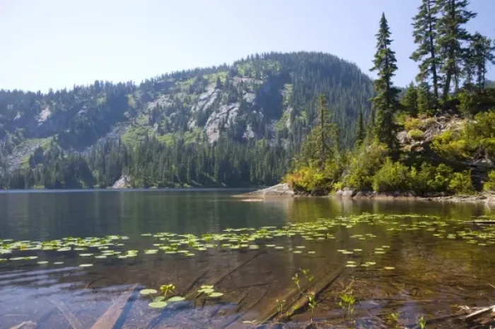 Framed Print : WA, Alpine Lakes Wilderness, Lake Dorothy, large alpine lake surrounded by old forest Framed Print : WA, Alpine Lakes Wilderness, Lake Dorothy, large alpine lake surrounded by old forest