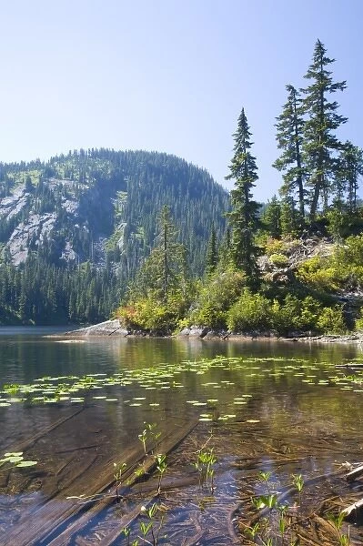 WA, Alpine Lakes Wilderness, Lake Dorothy, large alpine lake surrounded by old forest