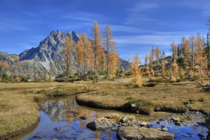Framed Print : WA, Alpine Lakes Wilderness, Mount Stuart with golden larch trees Framed Print : WA, Alpine Lakes Wilderness, Mount Stuart with golden larch trees