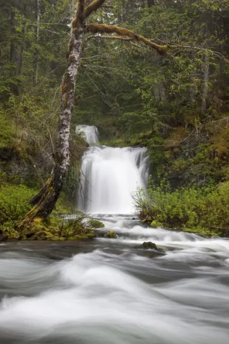 Framed Print : WA, Gifford Pinchot National Forest, Twin Falls, Twin Falls Creek empties into