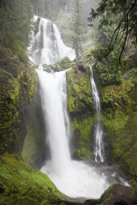 Framed Print : WA, Gifford Pinchot National Forest, Falls Creek Falls, plunges 250 feet Framed Print : WA, Gifford Pinchot National Forest, Falls Creek Falls, plunges 250 feet