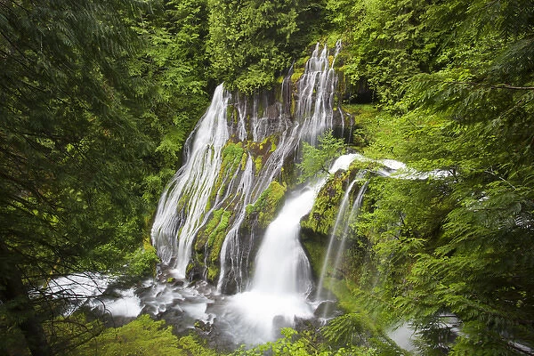 WA, Gifford Pinchot National Forest, Panther Creek Falls, with a second waterfall