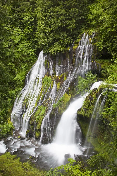 WA, Gifford Pinchot National Forest, Panther Creek Falls, with a second waterfall