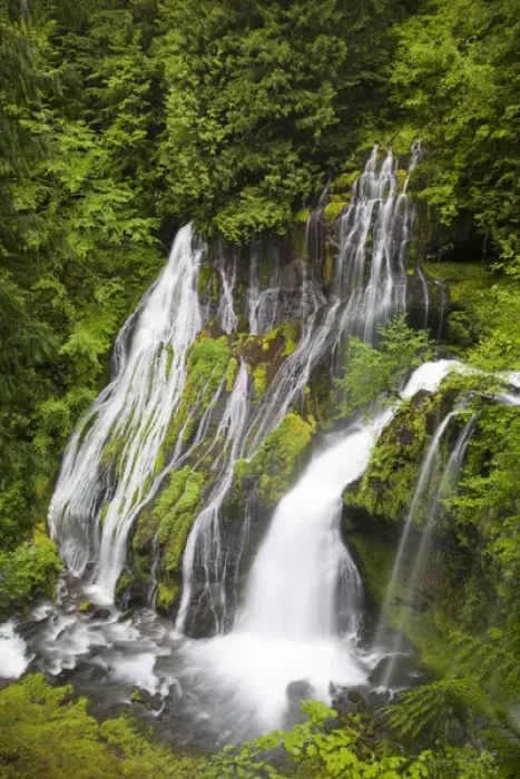 Framed Print : WA, Gifford Pinchot National Forest, Panther Creek Falls, with a second waterfall Framed Print : WA, Gifford Pinchot National Forest, Panther Creek Falls, with a second waterfall