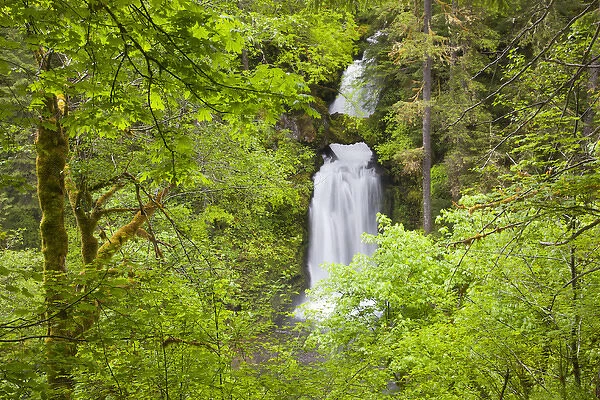 WA, Gifford Pinchot National Forest, Curly Creek Falls, arch formed from water flow