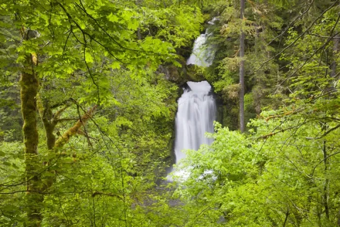 Framed Print : WA, Gifford Pinchot National Forest, Curly Creek Falls, arch formed from water flow Framed Print : WA, Gifford Pinchot National Forest, Curly Creek Falls, arch formed from water flow