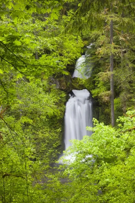 Framed Print : WA, Gifford Pinchot National Forest, Curly Creek Falls, arch formed from water flow Framed Print : WA, Gifford Pinchot National Forest, Curly Creek Falls, arch formed from water flow