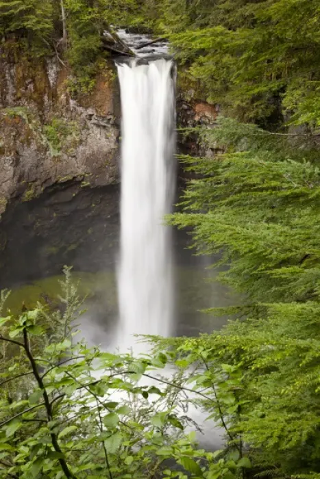 Framed Print : WA, Gifford Pinchot National Forest, Big Creek Falls, plunges 125 feet