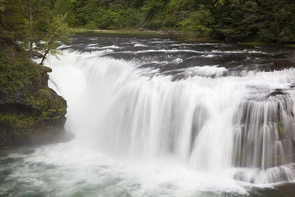 WA, Gifford Pinchot National Forest, Lower Lewis Falls, Lewis River cascades over