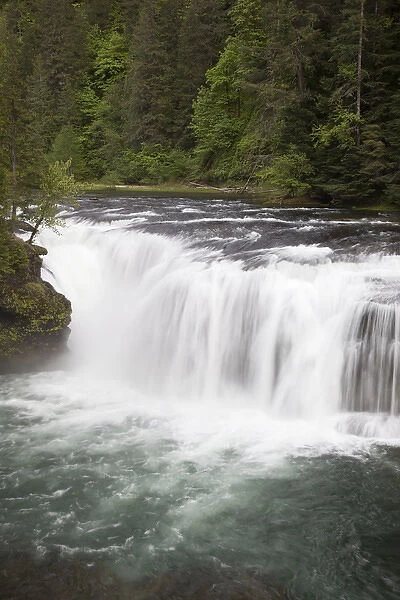 WA, Gifford Pinchot National Forest, Lower Lewis Falls, Lewis River cascades over