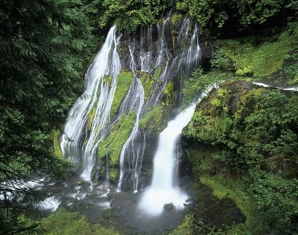 WA, Gifford Pinchot NF, Panther Creek Falls, waterfall from Panther Creek with a