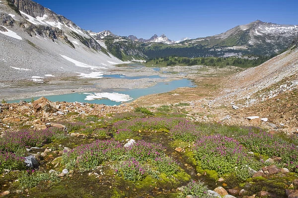 WA, Glacier Peak Wilderness, Upper Lyman Lake, with Cloudy Peak (right) and Miners Ridge