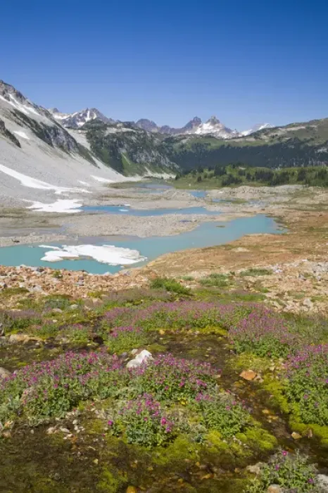 Framed Print : WA, Glacier Peak Wilderness, Upper Lyman Lake, with Miners Ridge in the background