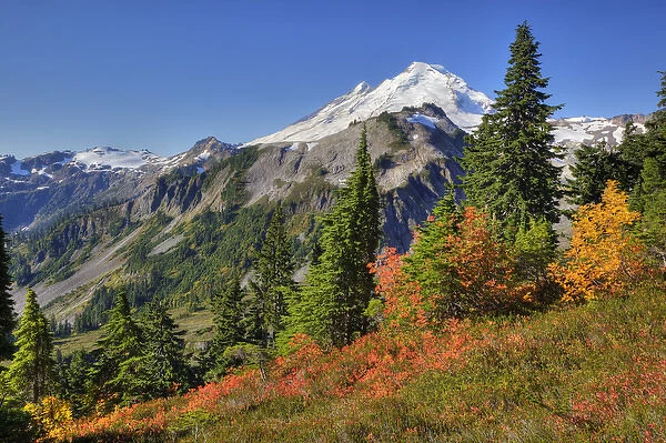 WA, Heather Meadows RA, view of Mount Baker from Kulshan Ridge at Artists Point