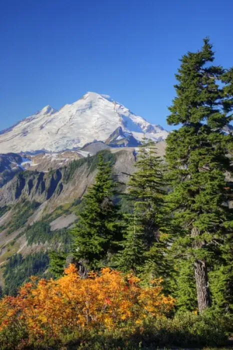 Framed Print : WA, Heather Meadows RA, view of Mount Baker from Kulshan Ridge at Artists Point