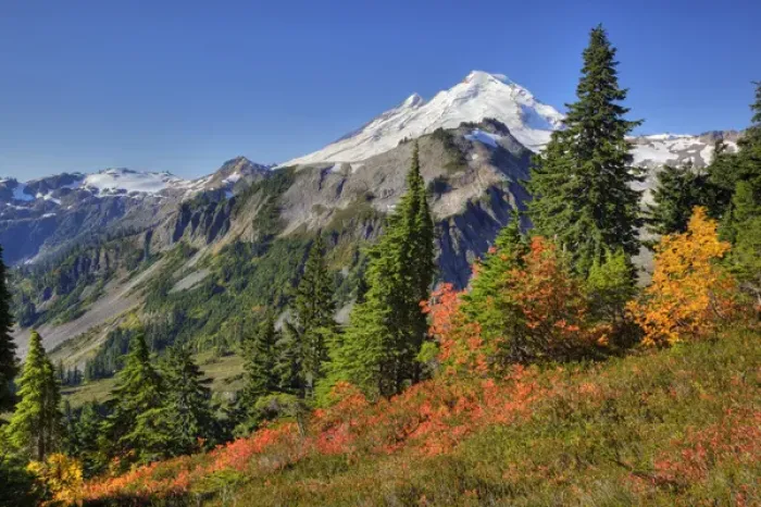 Framed Print : WA, Heather Meadows RA, view of Mount Baker from Kulshan Ridge at Artists Point Framed Print : WA, Heather Meadows RA, view of Mount Baker from Kulshan Ridge at Artists Point