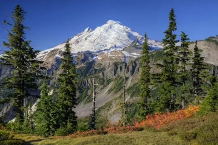 Framed Print : WA, Heather Meadows Recreation Area, view of Mt. Baker from Kulshan Ridge at Artist s Framed Print : WA, Heather Meadows Recreation Area, view of Mt. Baker from Kulshan Ridge at Artist s