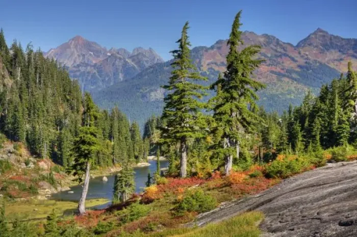 Framed Print : WA, Heather Meadows Recreation Area, meadow with Bagley Lakes Framed Print : WA, Heather Meadows Recreation Area, meadow with Bagley Lakes