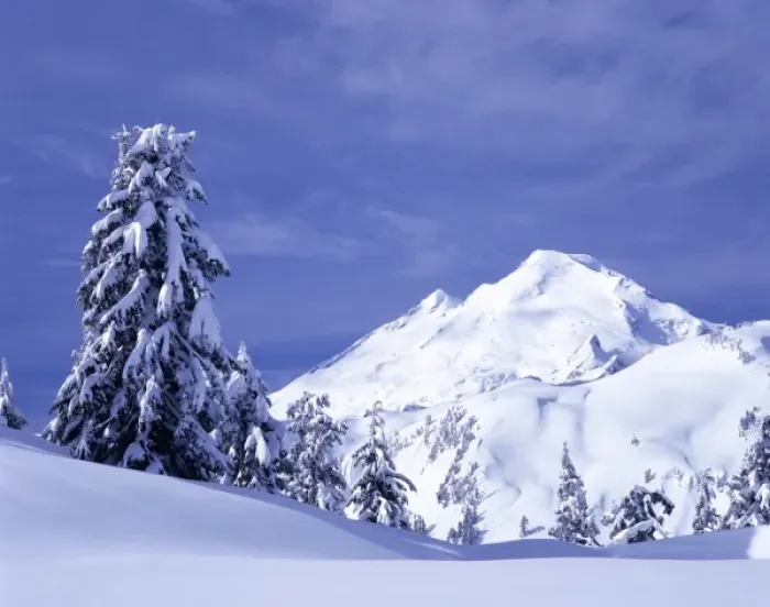 Framed Print : WA, Heather Meadows Recreation Area, Mount Baker view from Kulshan Ridge at Artist s Framed Print : WA, Heather Meadows Recreation Area, Mount Baker view from Kulshan Ridge at Artist s