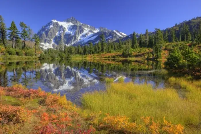 Framed Print : WA, Heather Meadows Recreation Area, Mt. Shuksan, reflected in Picture Lake Framed Print : WA, Heather Meadows Recreation Area, Mt. Shuksan, reflected in Picture Lake