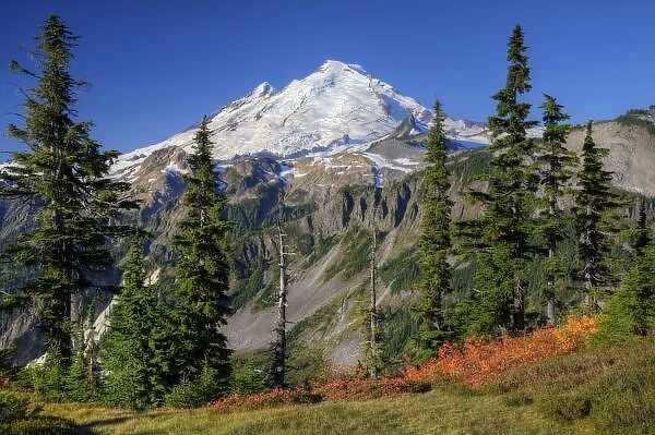 WA, Heather Meadows Recreation Area, view of Mt. Baker from Kulshan Ridge at Artist s