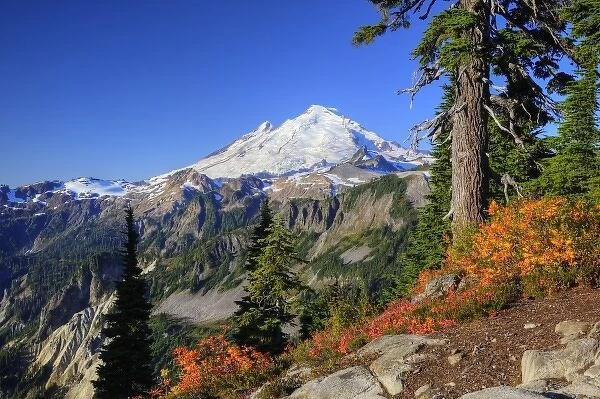 WA, Heather Meadows Recreation Area, view of Mt. Baker from Kulshan Ridge at Artist s