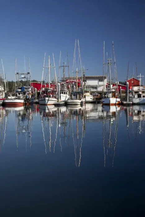 Framed Print : WA, Ilwaco, fishing boats and cannery at Port of Ilwaco